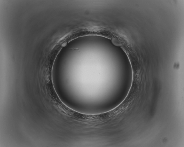 X0000097611205200802291254