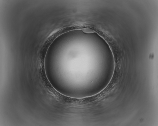 X0000097611206200802291254