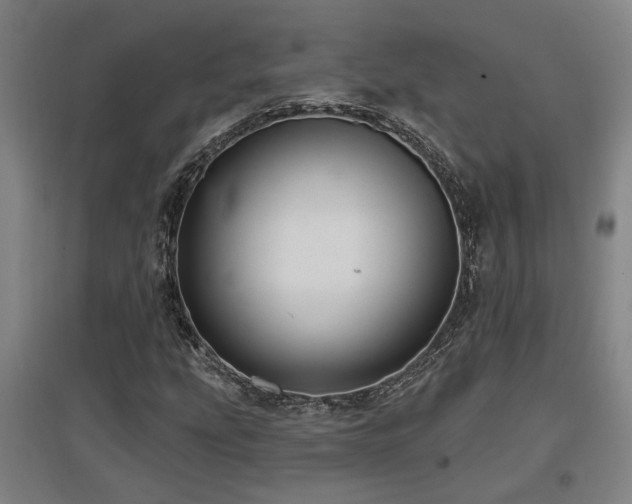 X0000097611207200802291254