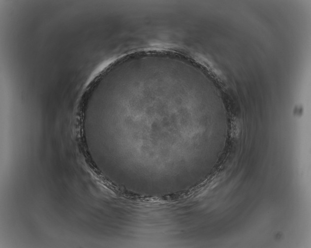 X0000097611208200802291254