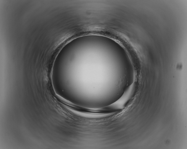 X0000097611209200802291254