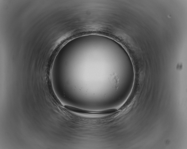 X0000097611210200802291254