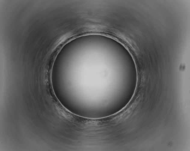X0000097611211200802291254