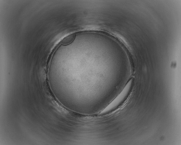 X0000097611212200802291254