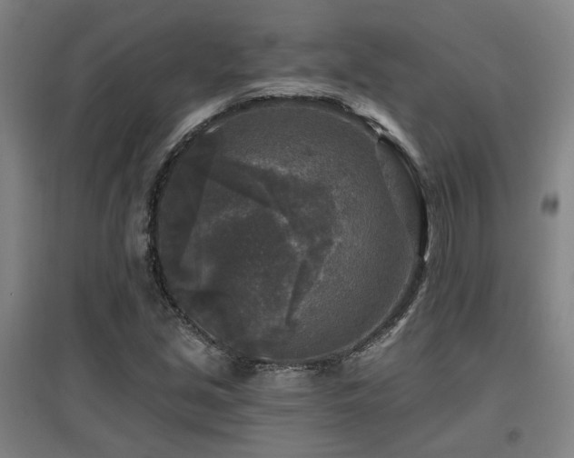 X0000097611213200802291254