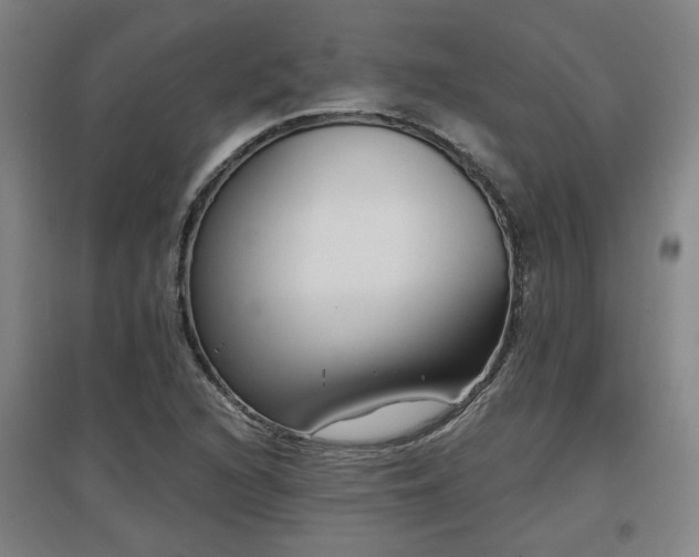 X0000097611216200802291254