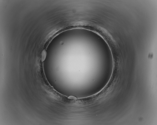 X0000097611217200802291254