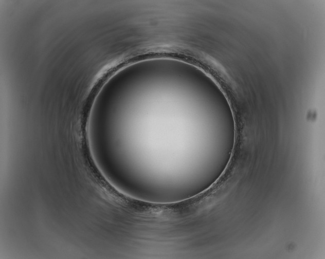 X0000097611218200802291254