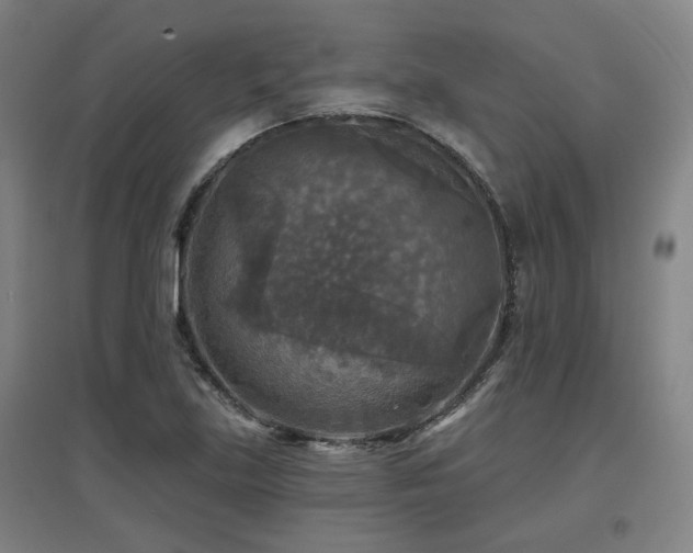 X0000097611219200802291254