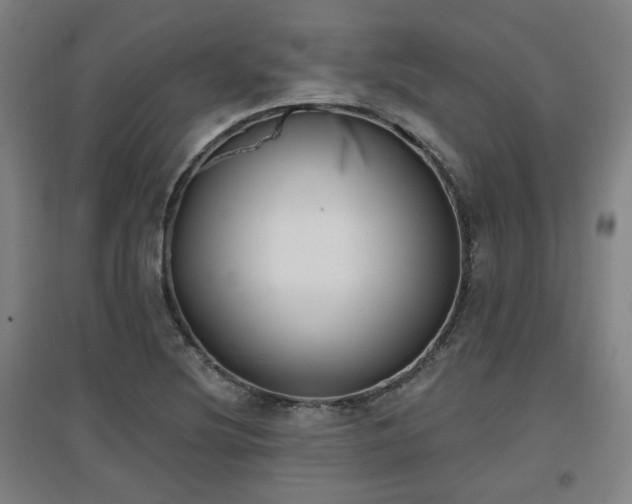 X0000097611220200802291254