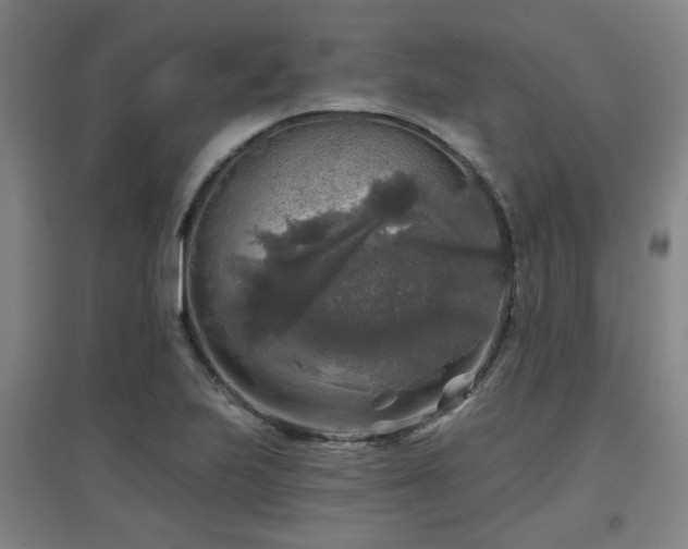 X0000097611223200802291254