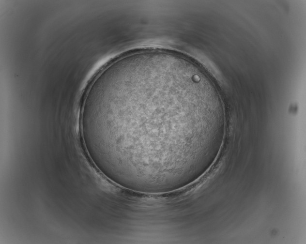 X0000097611224200802291254