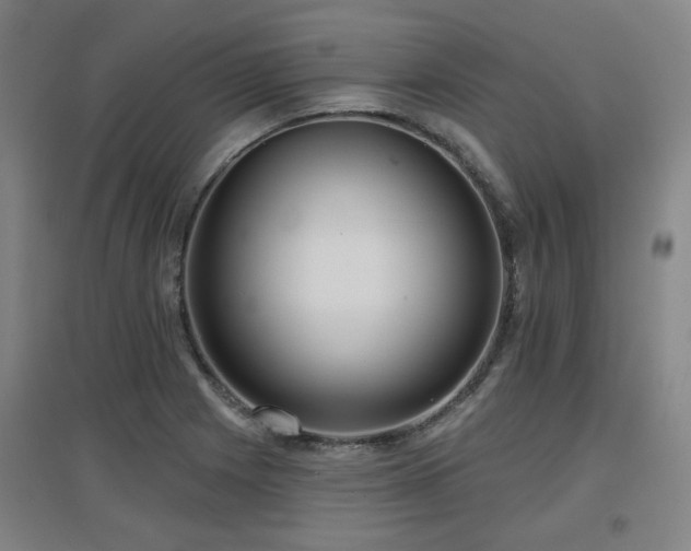 X0000097611225200802291254