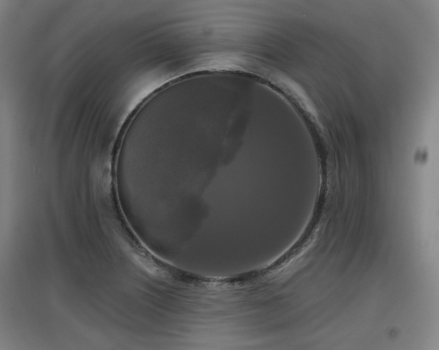 X0000097611226200802291254