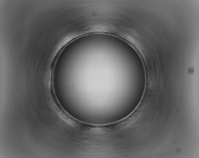 X0000097611227200802291254