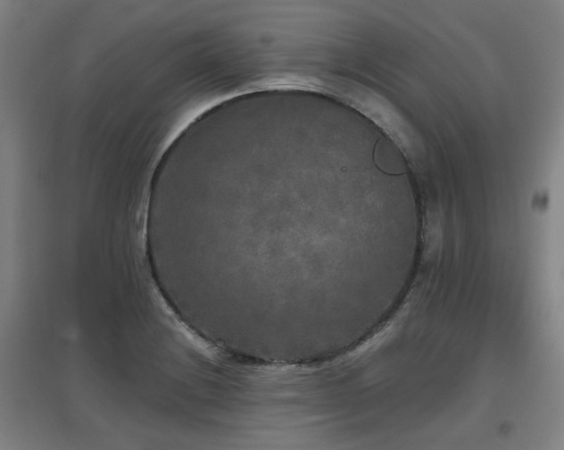 X0000097611228200802291254