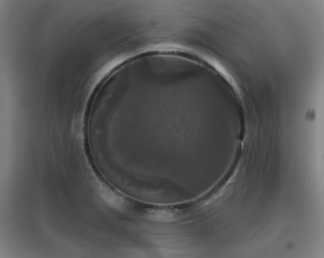 X0000097611229200802291254