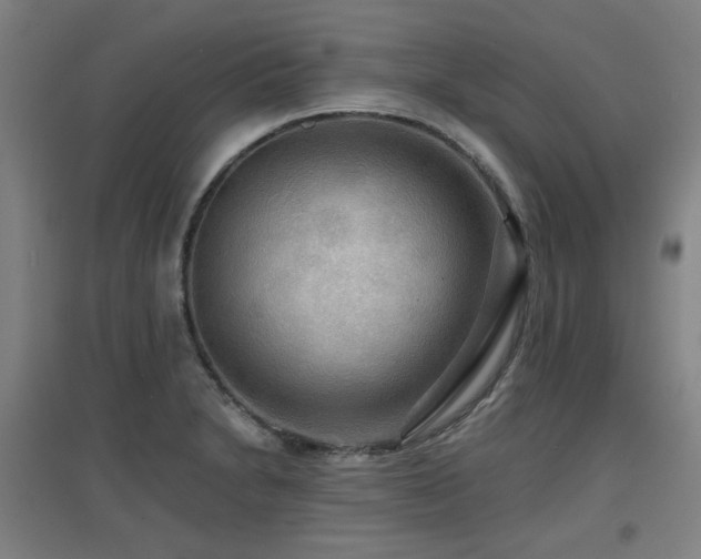 X0000097611230200802291254