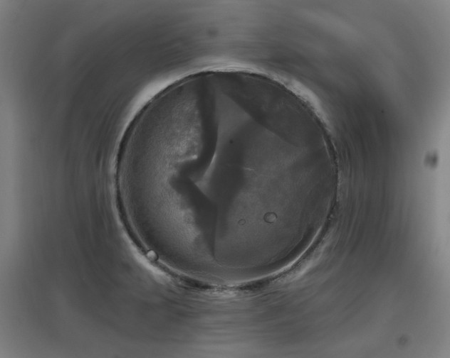 X0000097611231200802291254