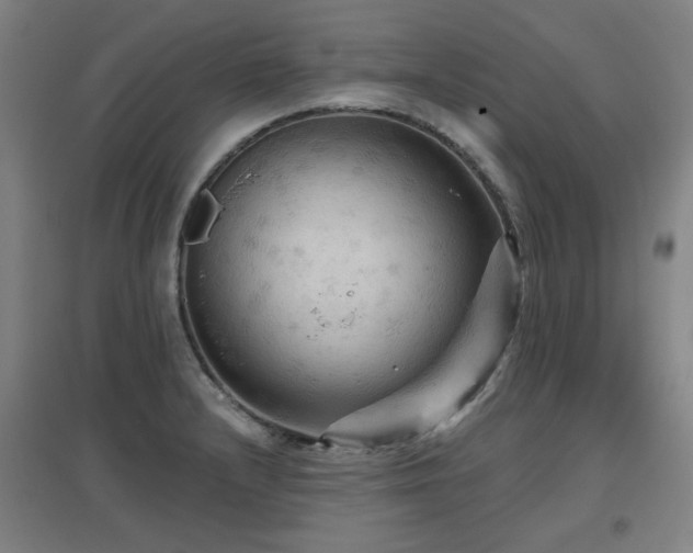 X0000097611232200802291254