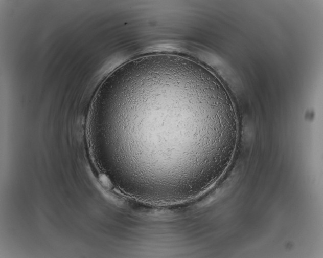 X0000097611233200802291254