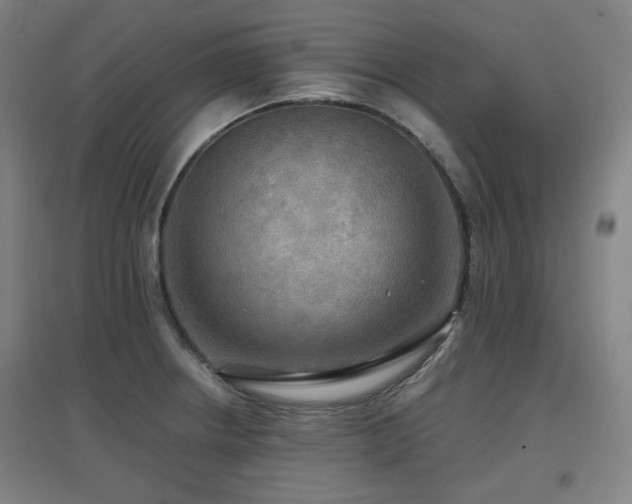 X0000097611234200802291254