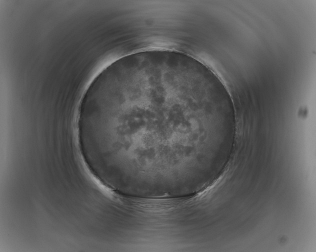 X0000097611235200802291254