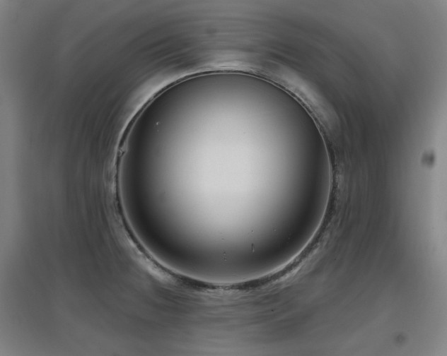 X0000097611236200802291254