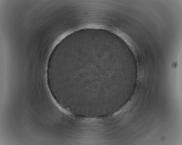 X0000097611237200802291254