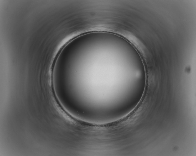 X0000097611238200802291254