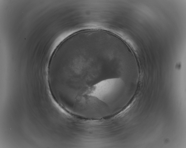 X0000097611239200802291254