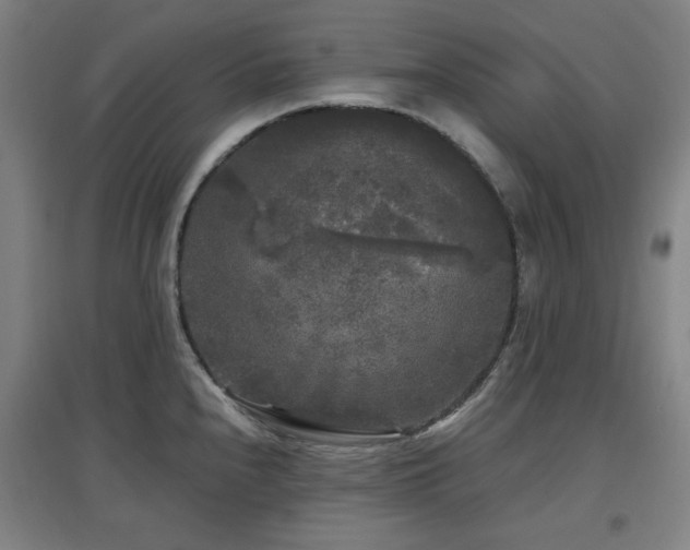 X0000097611240200802291254