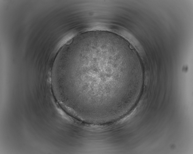 X0000097611241200802291254