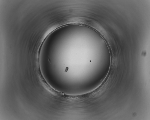 X0000097611242200802291254