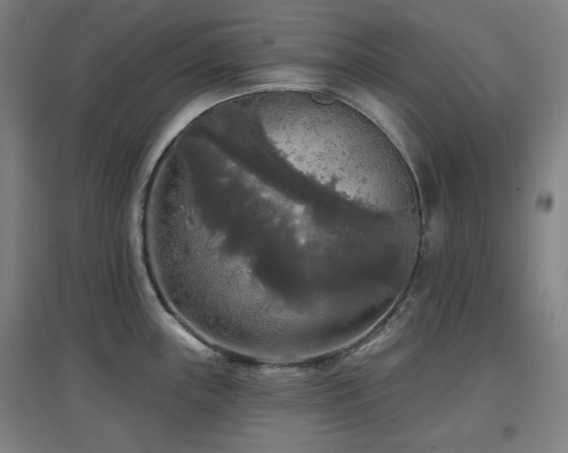 X0000097611243200802291254