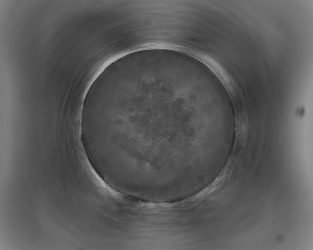 X0000097611244200802291254