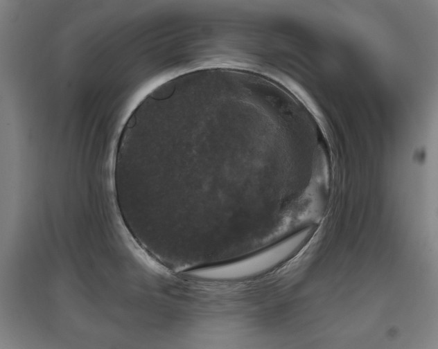 X0000097611246200802291255