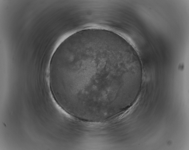 X0000097611247200802291255