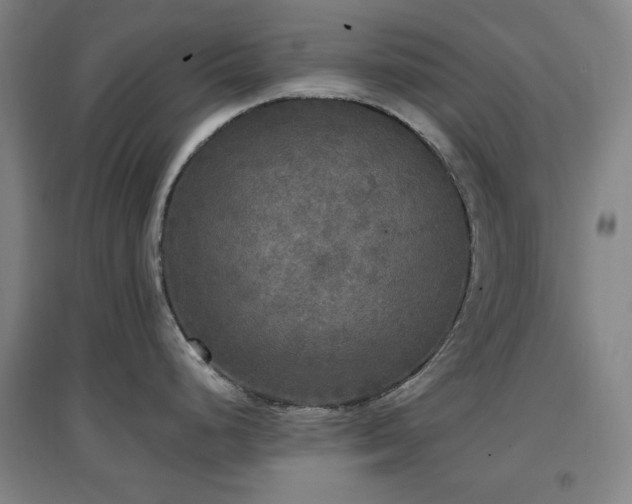 X0000097611248200802291255