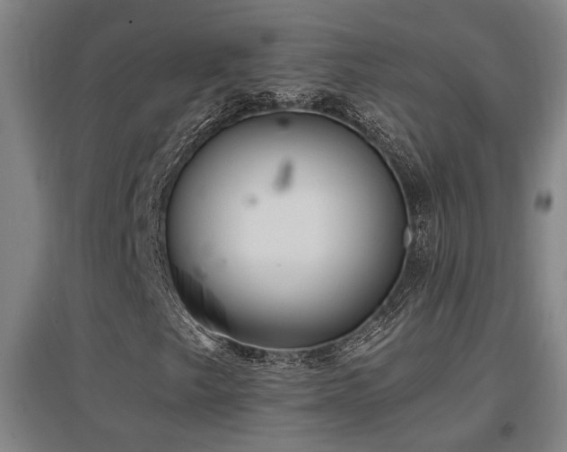 X0000097611249200802291254