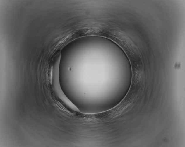 X0000097611250200802291254