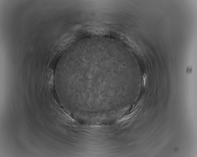 X0000097611251200802291254