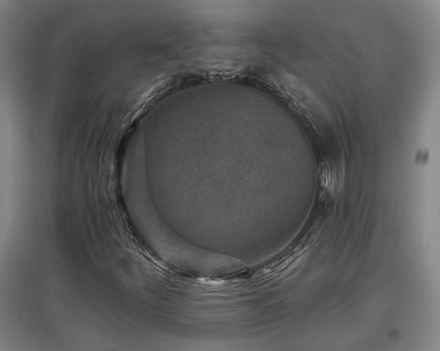 X0000097611252200802291254