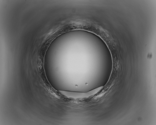 X0000097611253200802291254