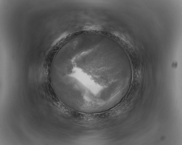 X0000097611254200802291254