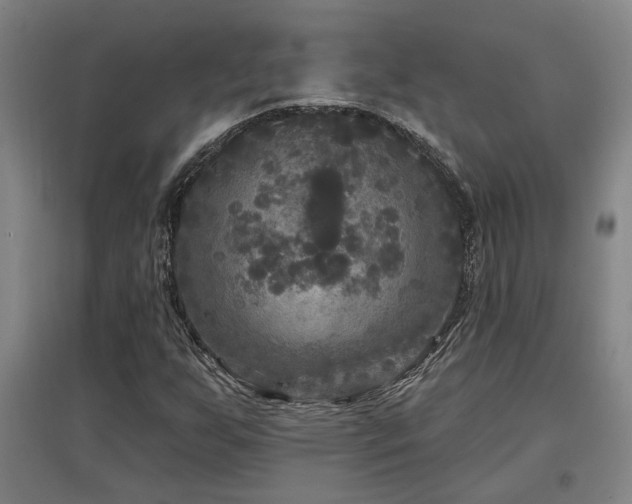 X0000097611255200802291254