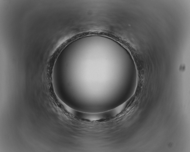 X0000097611256200802291254