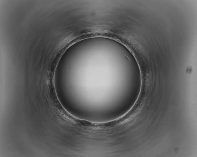 X0000097611257200802291254