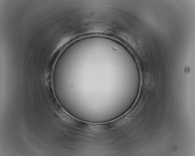 X0000097611258200802291254