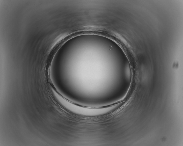 X0000097611259200802291254